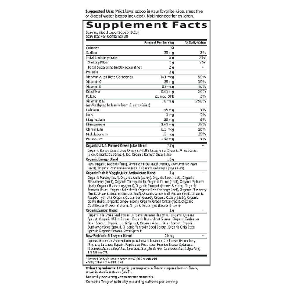 Garden of Life RAW Organic Perfect Food Energizer 279 gram supplement facts label